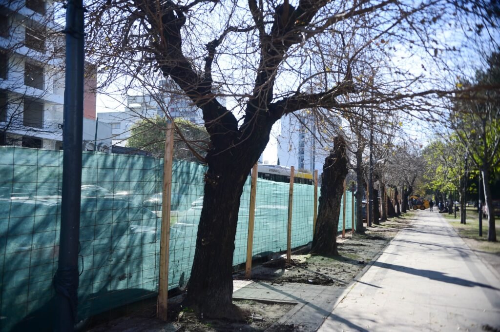 Parque Saavedra de La Plata. La municipalidad anunció cierre perimetral